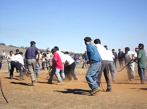 Mapuches juegan hockey ("chueca" /
"palin") 02 Mapuches juegan hockey
("chueca" / "palin") 02