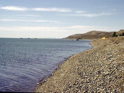 El lago Musters en
                        Argentina