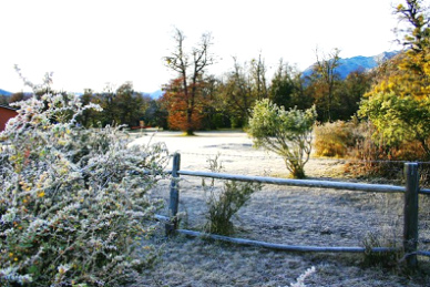 Escarcha en
                        Bariloche en Patagonia
