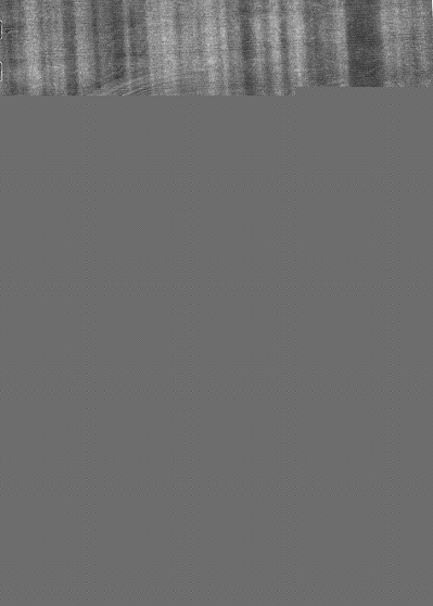 Rev�s de la Agenda mapuche 2008 con granos con
                    la indicaci�n de la edici�n Txap�m Zugewe