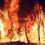 Dos palillos fueron tan
                                      calientes as provocaron un
                                      incendio forestal
