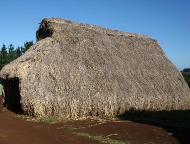 Eine Ruka aus der Region Cholchol
                  [3]