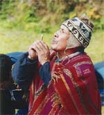 Ein Schaman
                            (Ketschua: paqo) ruft ein Anden- wesen mit
                            einem Blumenstiel an (Ketschua: kintu)