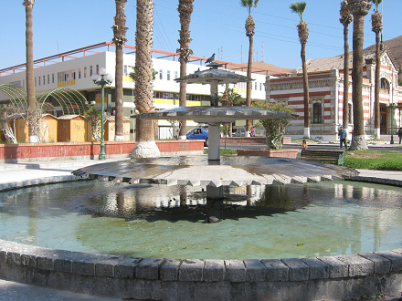 Plaza del Tren, fontana con palomas y pato
                        (02)
