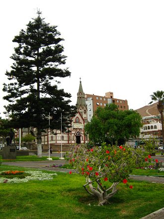 Plaza del Trabajador, arbusto con pino y
                          la iglesia San Marcos