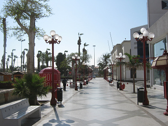 Pasaje peatonal 21 de Mayo entre calle
                        Pratt y avenida Lira