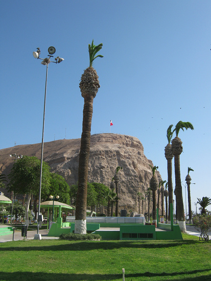 Palmen mit dem Morroberg (01)