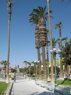 Der Mackennaplatz, weisse B�nke mit
                            Vogelkot