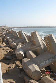 Protectores de la costa, primer plano