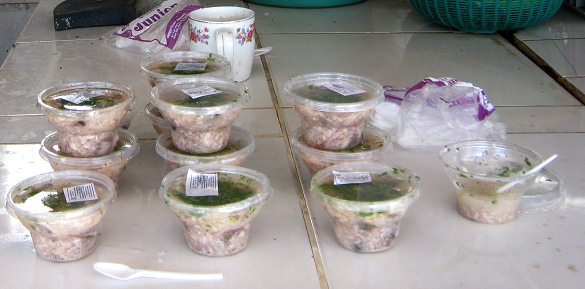 Ceviches chilenos, primer plano