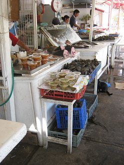 Kleine Fischgerichte