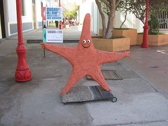 El estrellamar en la calle