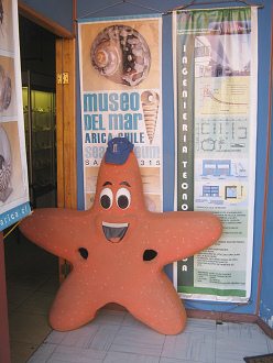 La entrada con otra estrellamar