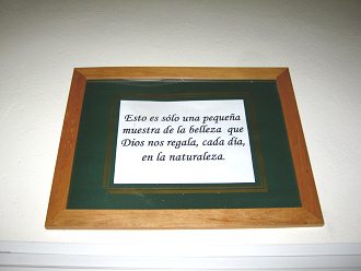 La placa del mar de dios