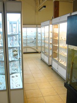 Vitrinen 02 Vitrinen 02