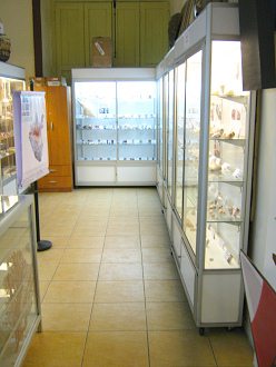 Vitrinen 03 Vitrinen 03