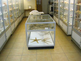 Vitrinen 07 Vitrinen 07