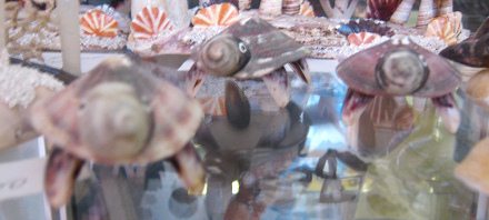 Artesan�a de conchas del mar, tortugas