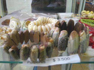 Artesan�a de caracoles y de caracoles del
                        mar, pulseras