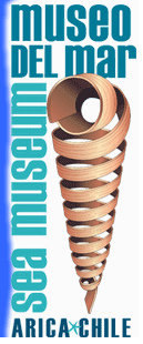 El logotipo del Museo del Mar de
                Arica [1]