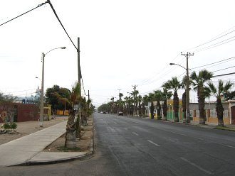 18.-September-Allee in Arica mit Palmen