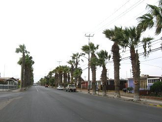 18.-September-Allee mit Palmen und
                        Wohnh�uschen