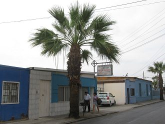 La avenida 18 de Septiembre, una cl�nica
                        param�dica