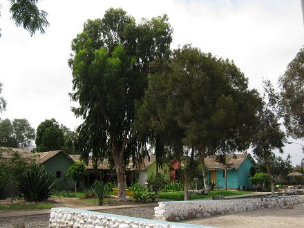 Kunsthandwerkerdorf von Arica, der
                            Platz mit ein paar H�uschen