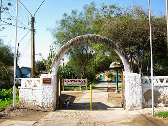 Kunsthandwerkerdorf von Arica, der
                            Ausgang, ein Blick zur�ck