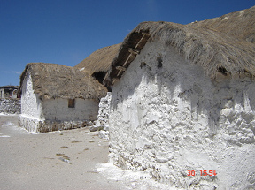 Strasse und
                                  originale H�user von Parinacota (01)
                                  [3]