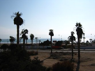 Blick zur�ck auf den Morroberg
                                  03