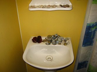 Conchas del mar secando 01