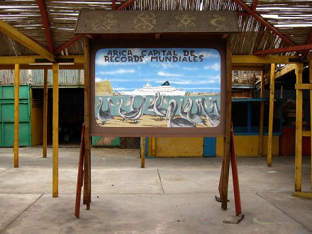 Cuadro afirmando r�cords de Arica (10)
                          mostrando pel�canos, el cerro Morro y un
                          crucero