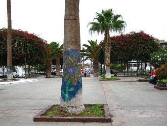 Plaza Col�n, palmera pintada
                                    01