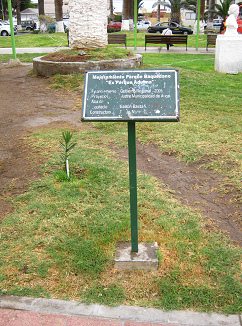 Plaza Baquedano, la placa de
                                  mejoramiento en 2005