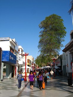 Passage 21. Mai mit Baum