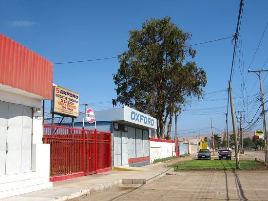 Avenida Santa Mar�a, Oxford bicicletas