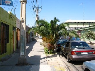 Esmeralda-Strasse, Palmen 02