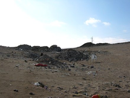 Basura salvaje 02