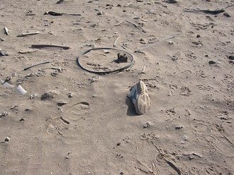Basura salvaje en la zona de la
                                  tumba de la tierra t�xica 03