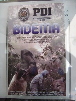 Polic�a de investigaciones