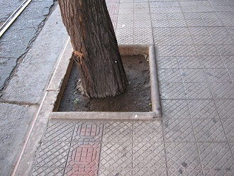 Baumbordstein im Kacheltrottoir