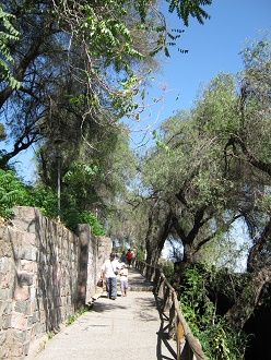 Der Weg hat hier ein
                                  Holzgel�nder