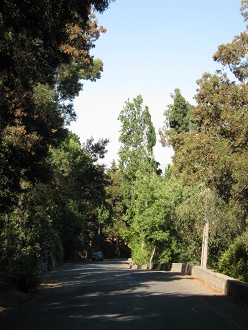 Und die Strasse saust abw�rts