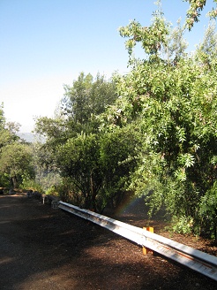 Regenbogen durch Bew�sserung