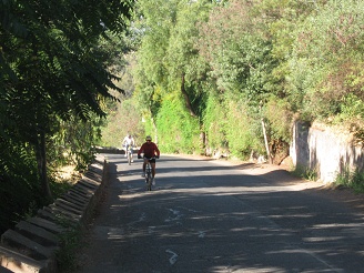 Und immer wieder keuchen Velofahrer
                          bergauf