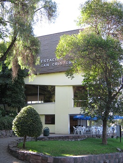 Die Mittelstation "Tupahue" der
                          Luftseilbahn