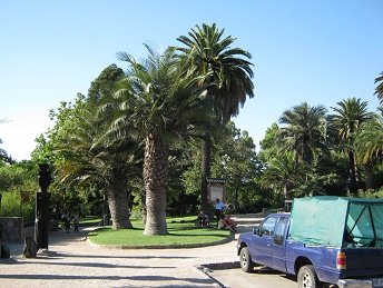 Palmen und Schaukasten vor dem
                          Schwimmbad