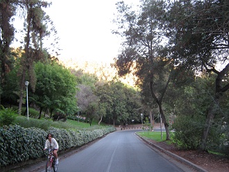 La �ltima curva antes de la salida del
                          parque, una ciclista subiendo