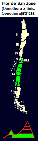 Flor de
San José, mapa con la distribución de la
5ª a la 10ª región en Chile central y
del sur Flor de San José, mapa con la
distribución de la 5ª a la 10ª región en
Chile central y del sur